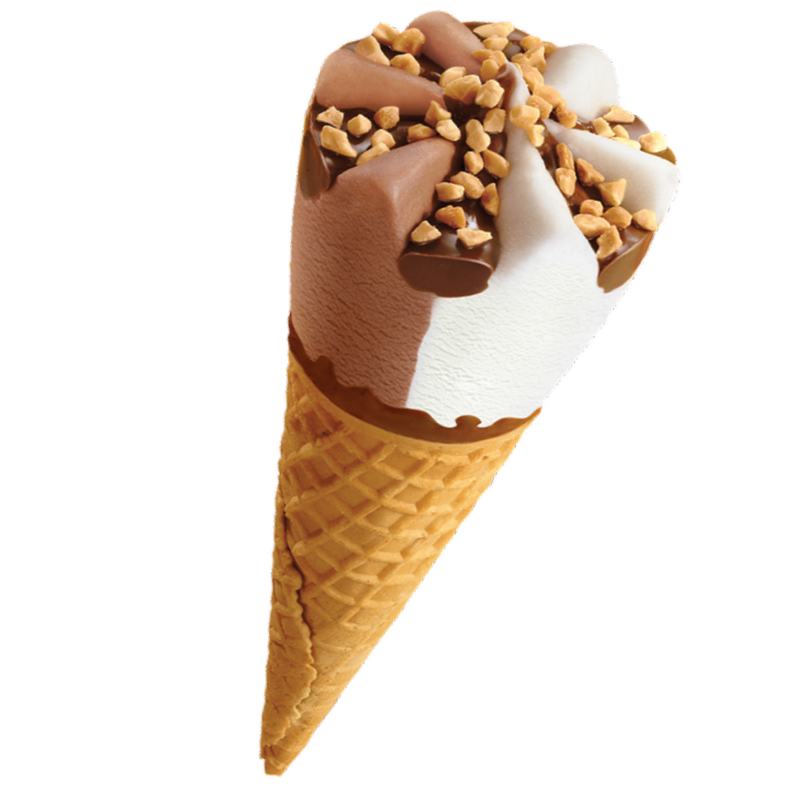 giant king cone image