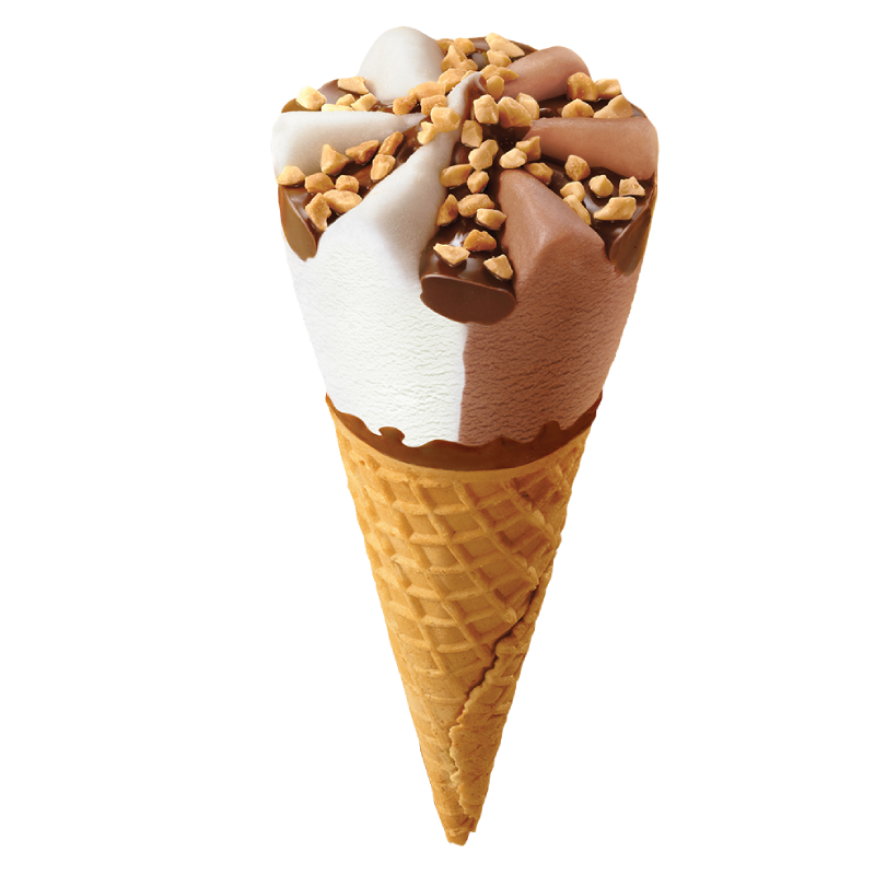 giant king cone image