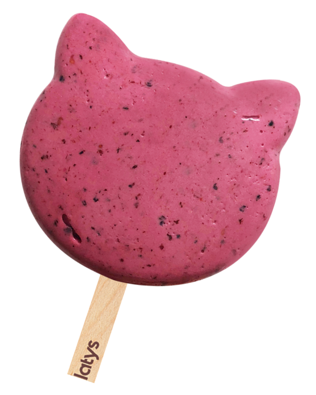 very berry cat image