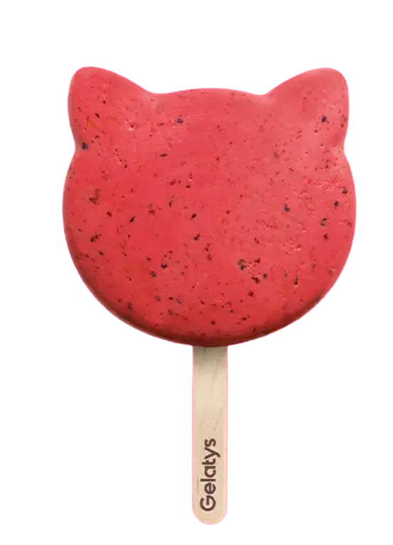 very berry cat image