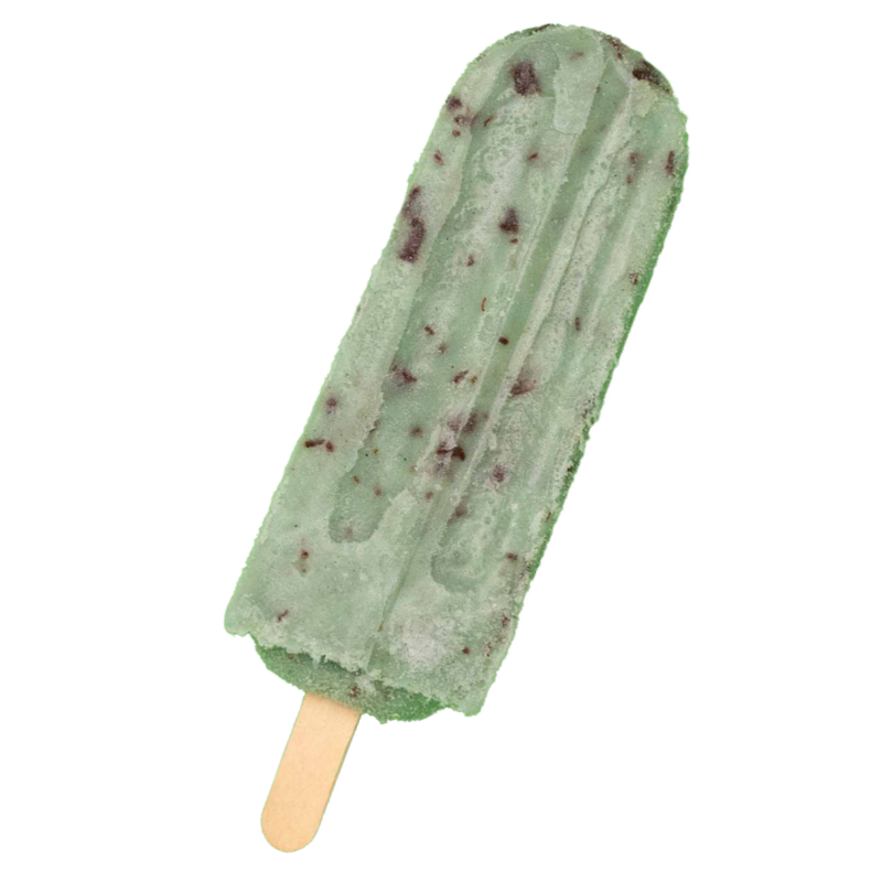 mint chocolate chip image